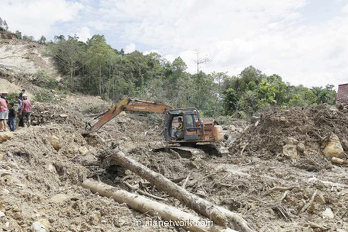Jembatan Ambrol, Warga Tapanuli Tengah Bangun Akses Darurat di Tengah Banjir