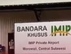 Pelabuhan Morowali: Pintu Masuk yang Lepas dari Kendali Negara?