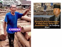 Tumbang Alami dengan Nomor Seri: Bukti atau Kebetulan?