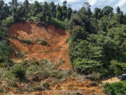 Malaikat Khawatir, Manusia Diberi Amanah: Apa yang Tak Terpikirkan tentang Khalifah di Bumi