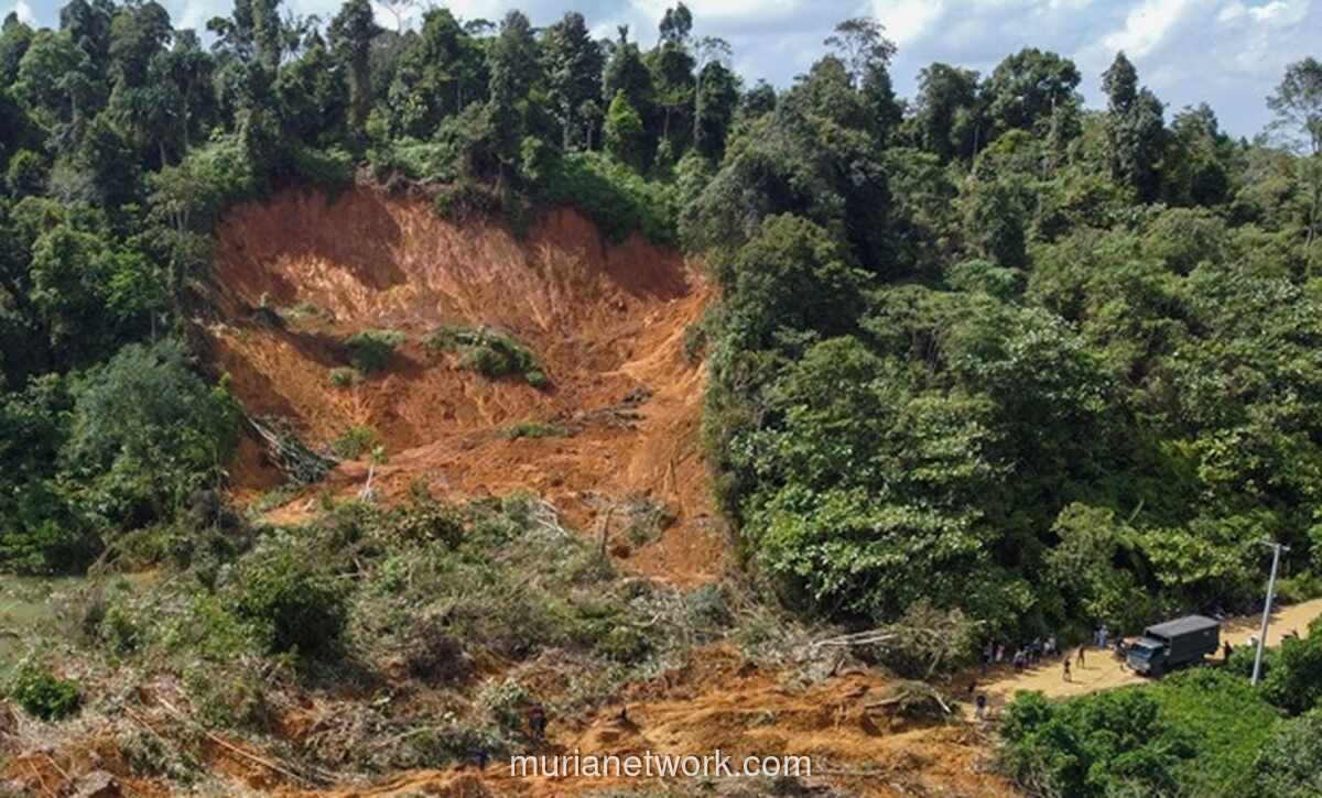 Malaikat dan Keraguan Mereka: Mengapa Manusia Diberi Amanah Khalifah?