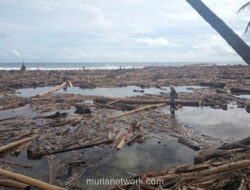 Bareskrim Selidiki Asal-Usul Kayu Gelondongan yang Memenuhi Sungai Sumatera