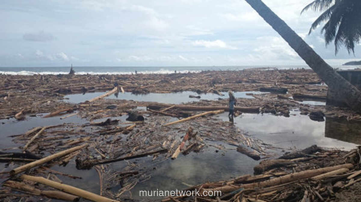 Bareskrim Selidiki Asal-Usul Kayu Gelondongan yang Memenuhi Sungai Sumatera