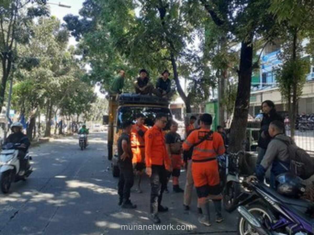Mahoni Raksasa Tumbang di Bogor, Dua Pemotor Jadi Korban