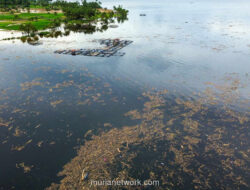 Banjir Bandang di Solok Hanyutkan Gelondongan Kayu hingga Danau Singkarak