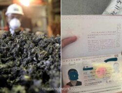 Pekerja Asing Diciduk Bawa Serbuk Nikel dari Bandara Khusus Weda Bay