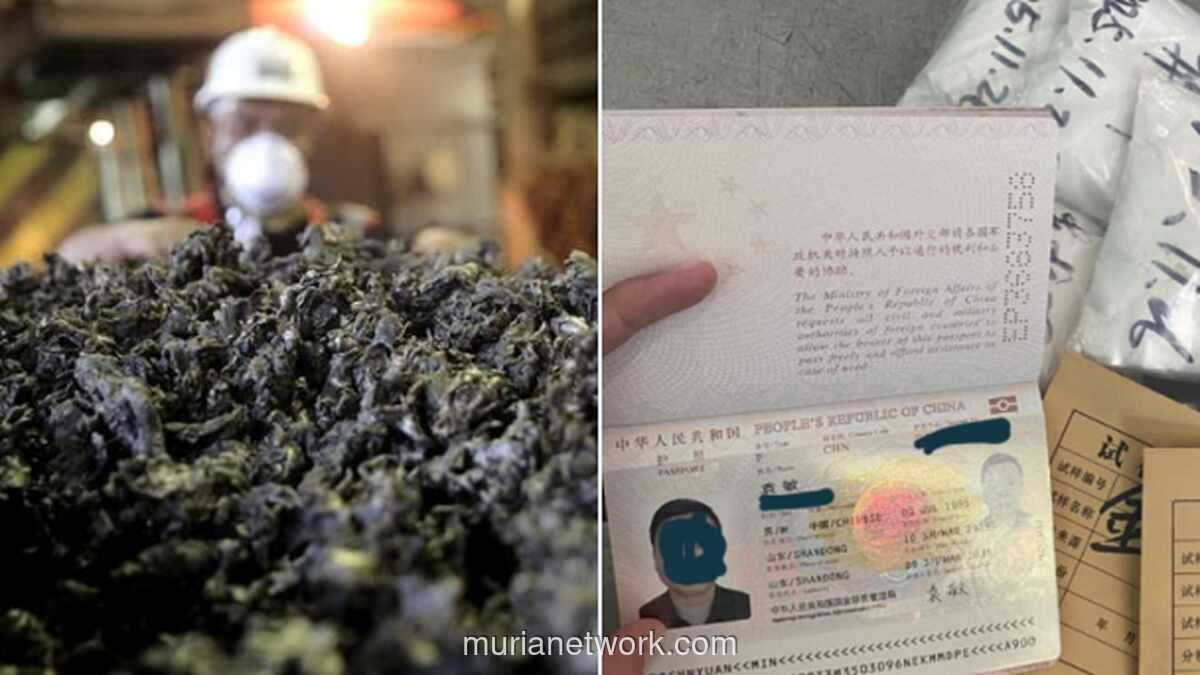 Pekerja Asing Diciduk Bawa Serbuk Nikel dari Bandara Khusus Weda Bay