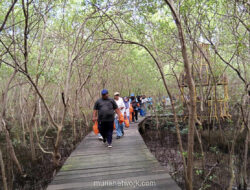 Kebun Raya Mangrove Surabaya Tembus 86 Ribu Pengunjung, UMKM Raup Ratusan Juta