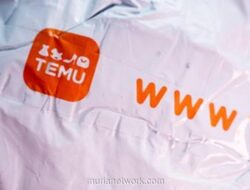 Belanja Murah Temu dan Shein di Eropa Terancam Naik Drastis