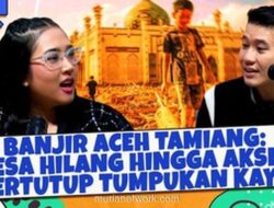 Desa Sekumur Hilang, Hanya Masjid yang Tersisa di Tengah Banjir Aceh