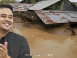 WALHI Sumut Bantah Gubernur: Banjir Bandang Akibat Kerusakan Hutan, Bukan Sekadar Bencana Alam