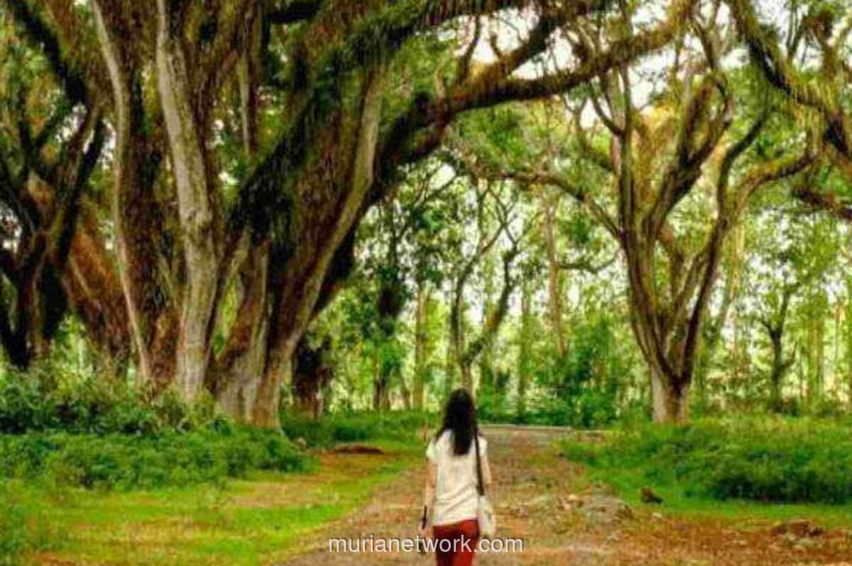 Tiga Destinasi Hits Banyuwangi yang Wajib Dijajal di 2025