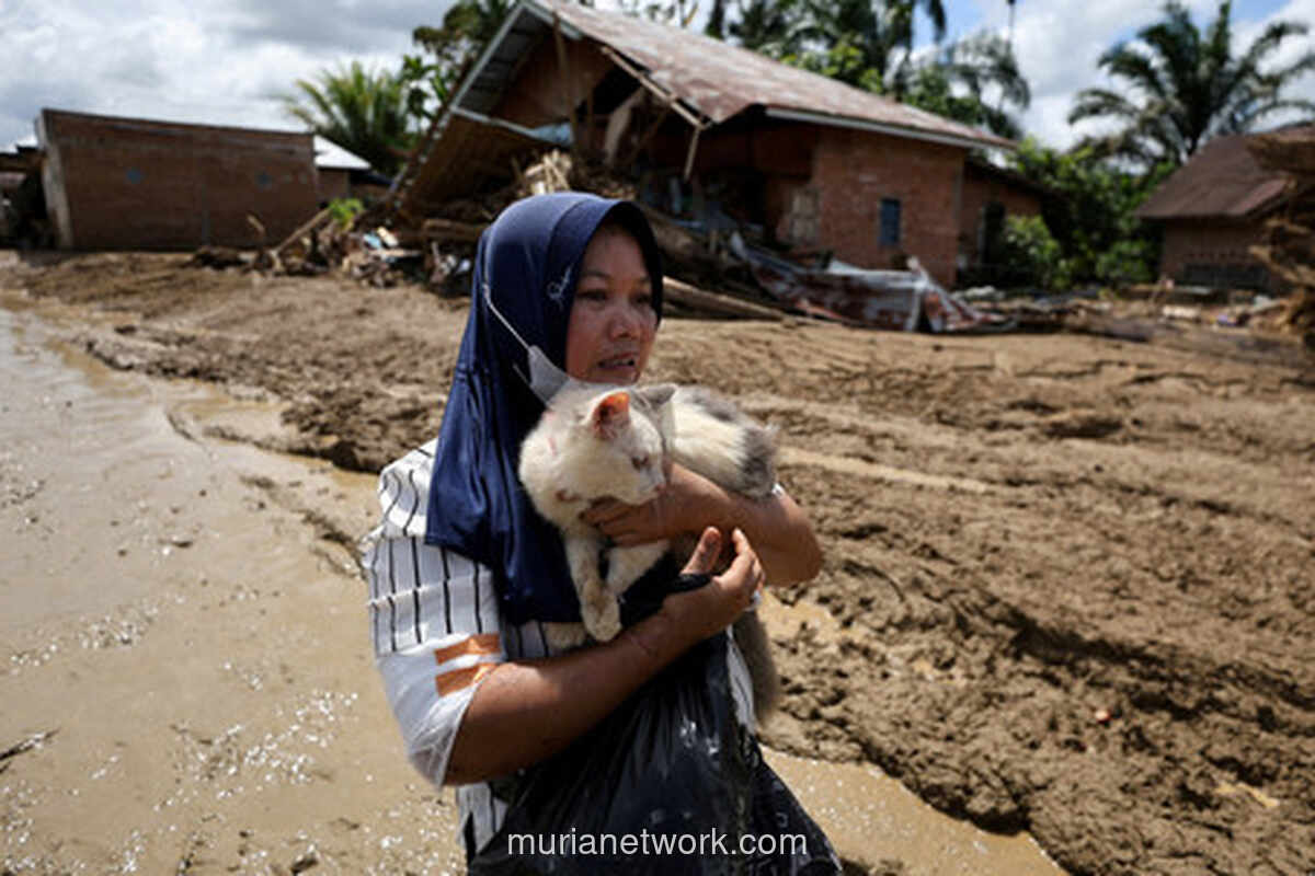 Embul Bertahan Seminggu di Reruntuhan, Kisah Haru dari Tengah Bencana Agam