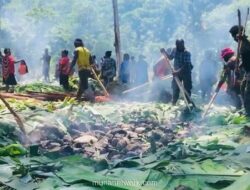 Rabo-Rabo hingga Bakar Batu: Ragam Wajah Natal di Nusantara