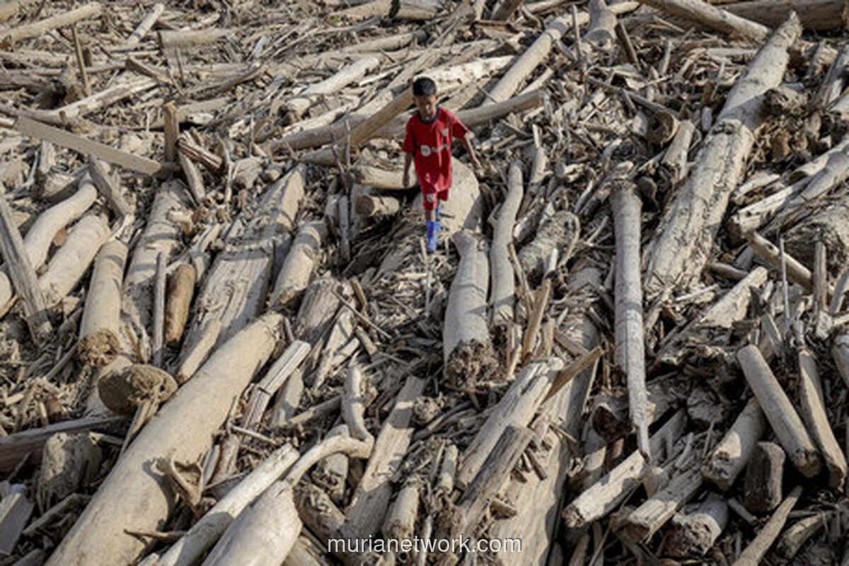 Tumpukan Kayu Gelondongan Bikin Bingung, DPR Desak Pemerintah Beri Kepastian