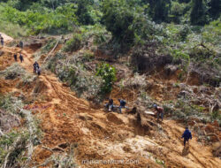 Prasetyo Tegaskan: Penanganan Korban Lebih Penting Daripada Status Bencana