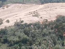 Menteri Lingkungan Hidup Bekuk Operasi Tiga Perusahaan Pemicu Banjir di Tapsel