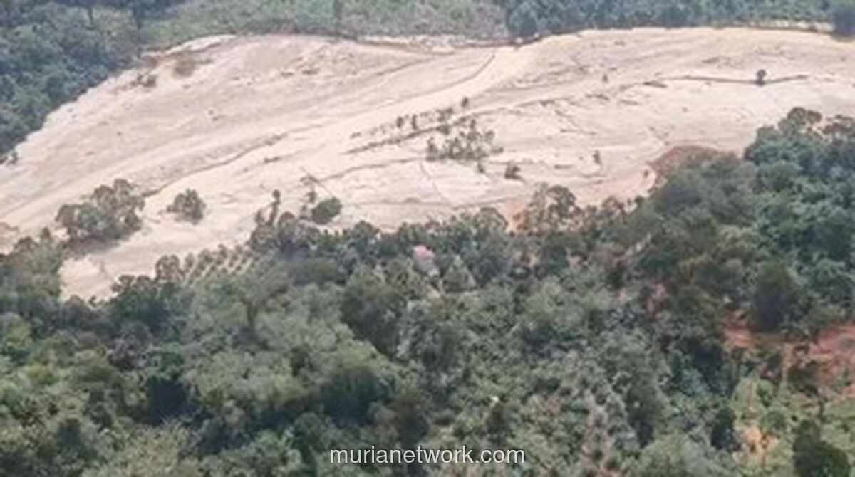 Menteri Lingkungan Hidup Bekuk Operasi Tiga Perusahaan Pemicu Banjir di Tapsel
