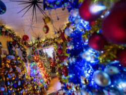 Rumah di Jerman Pecahkan Rekor Dunia dengan 621 Pohon Natal