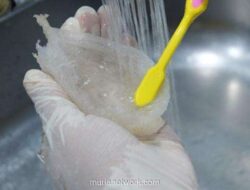 RLCO Siap Melantai, Eksportir Sarang Walet Incar Pasar China