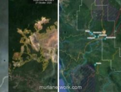 Banjir Tapanuli: Saat Hutan Batang Toru Menjerit dan Politik Masa Lalu Datang Menagih