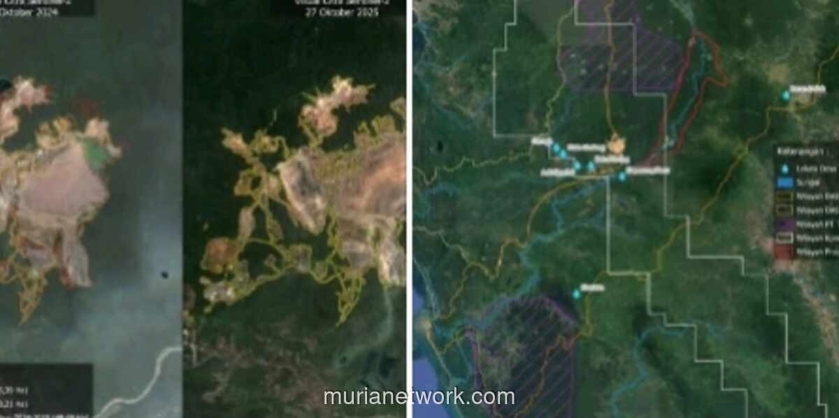 Banjir Tapanuli: Saat Hutan Batang Toru Menjerit dan Politik Masa Lalu Datang Menagih