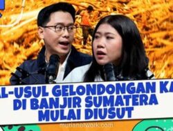 Gelondongan Kayu di Balik Bencana Sumatera: Penyelidikan Dimulai