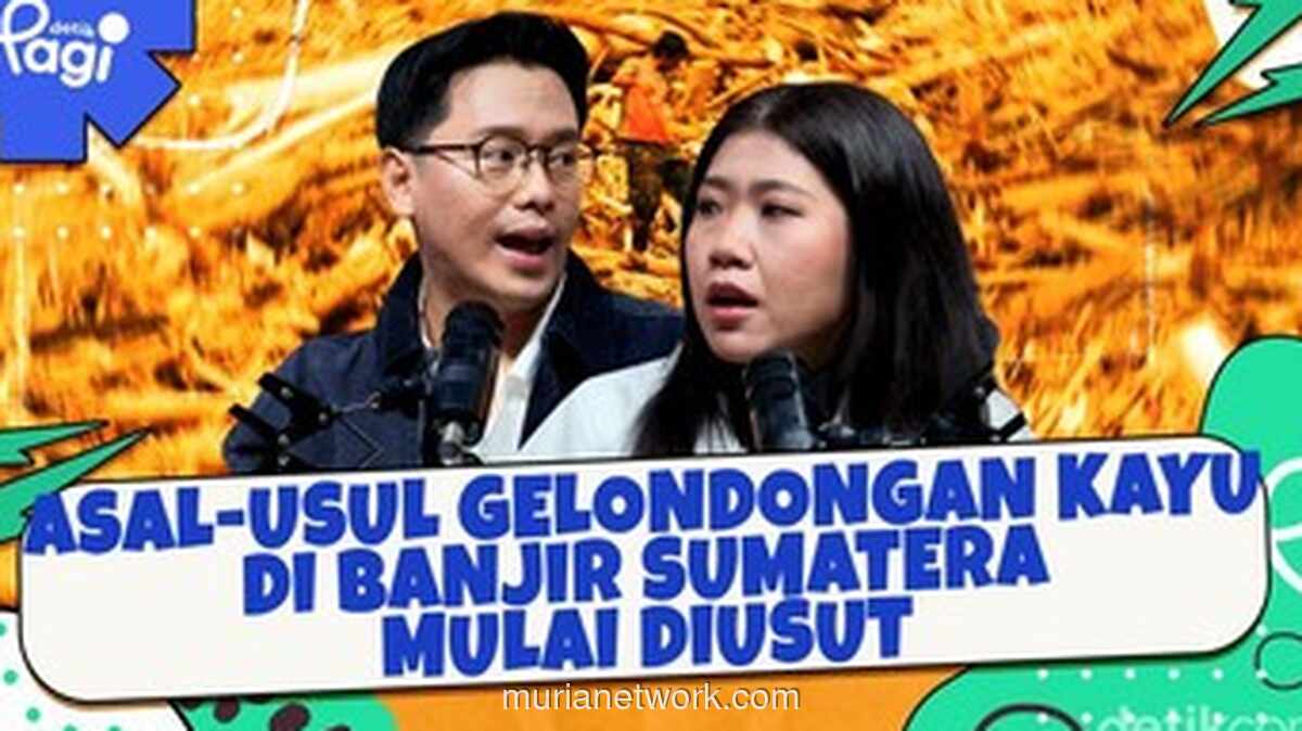 Gelondongan Kayu di Balik Bencana Sumatera: Penyelidikan Dimulai