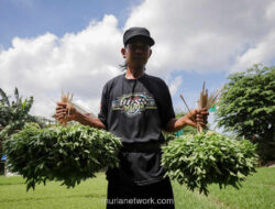 Prabowo: Swasembada Pangan Harus Nyata Sampai ke Desa