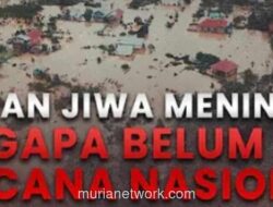 Aktivis Soroti Konsesi Hutan sebagai Biang Kerok Bencana di Sumatera