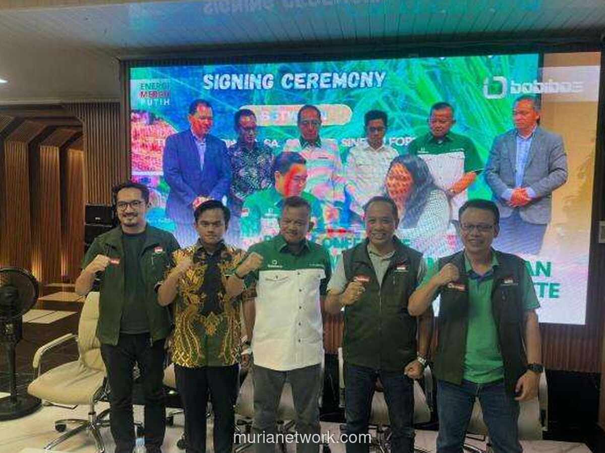 Bobibos Siap Meluncur di Timor Leste, Tunggu Regulasi di Tanah Air