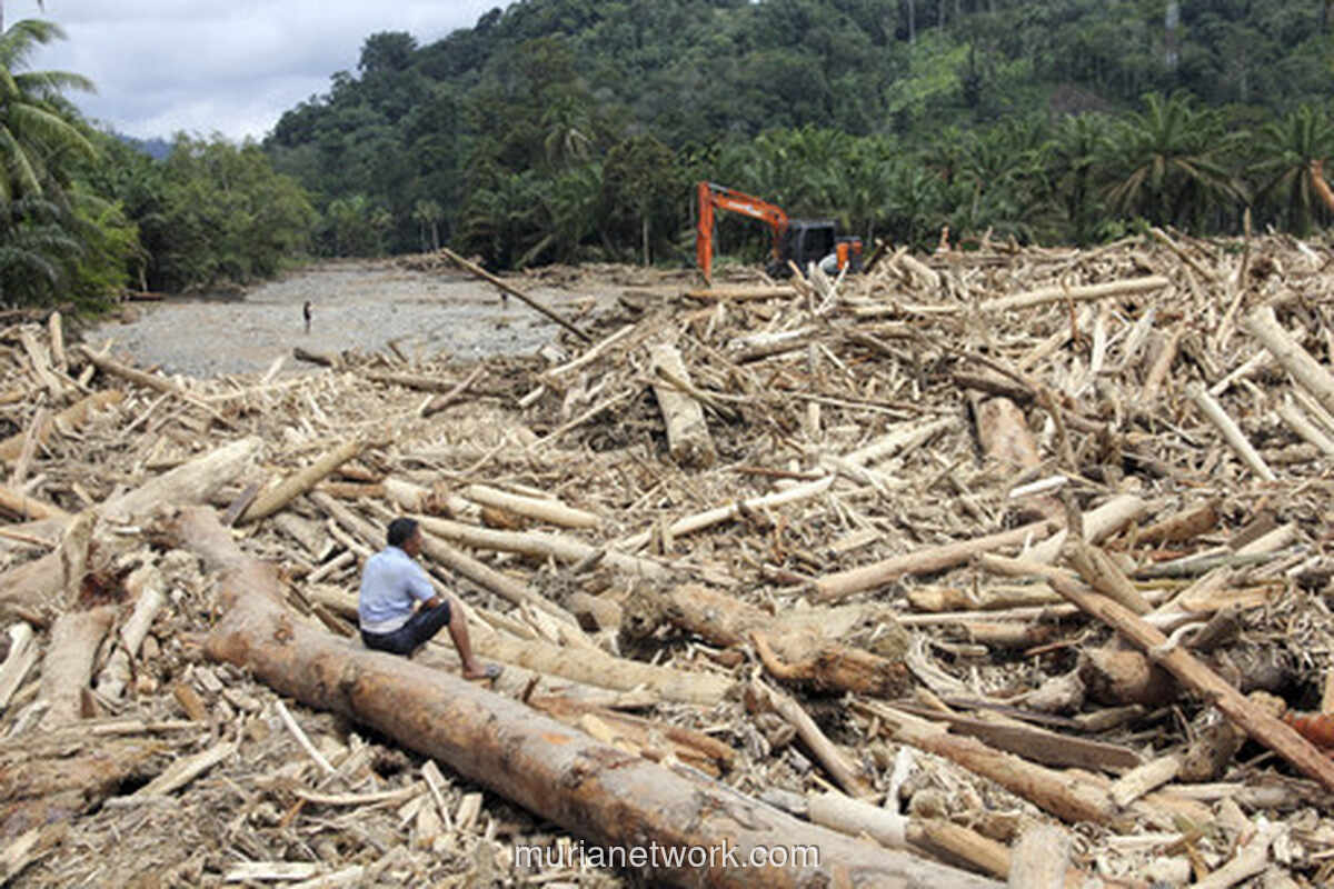 Gelondongan Kayu Banjir Sungai, Satu Korporasi Resmi Jadi Tersangka