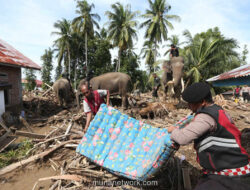 Ditjen Pajak Hapus Denda, Beri Kelonggaran bagi Korban Bencana di Sumatera