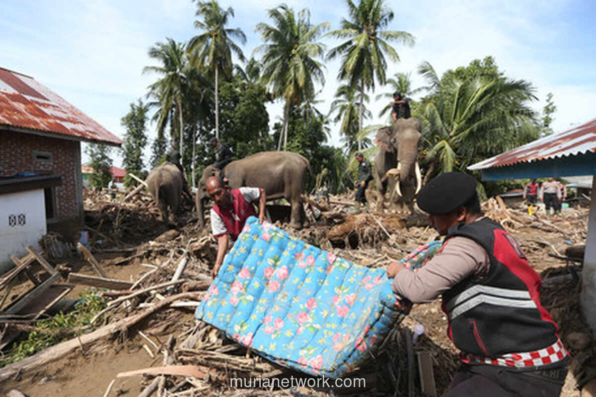 Ditjen Pajak Hapus Denda, Beri Kelonggaran bagi Korban Bencana di Sumatera