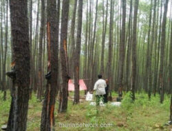 Banjir Aceh dan Jejak Konsesi Hutan yang Dikaitkan dengan Prabowo