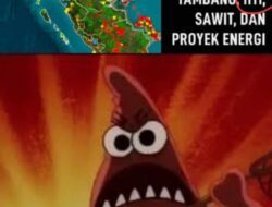 Sumatera Tenggelam: Ketika Konsesi dan Sawit Mengikis Daya Tahan Alam