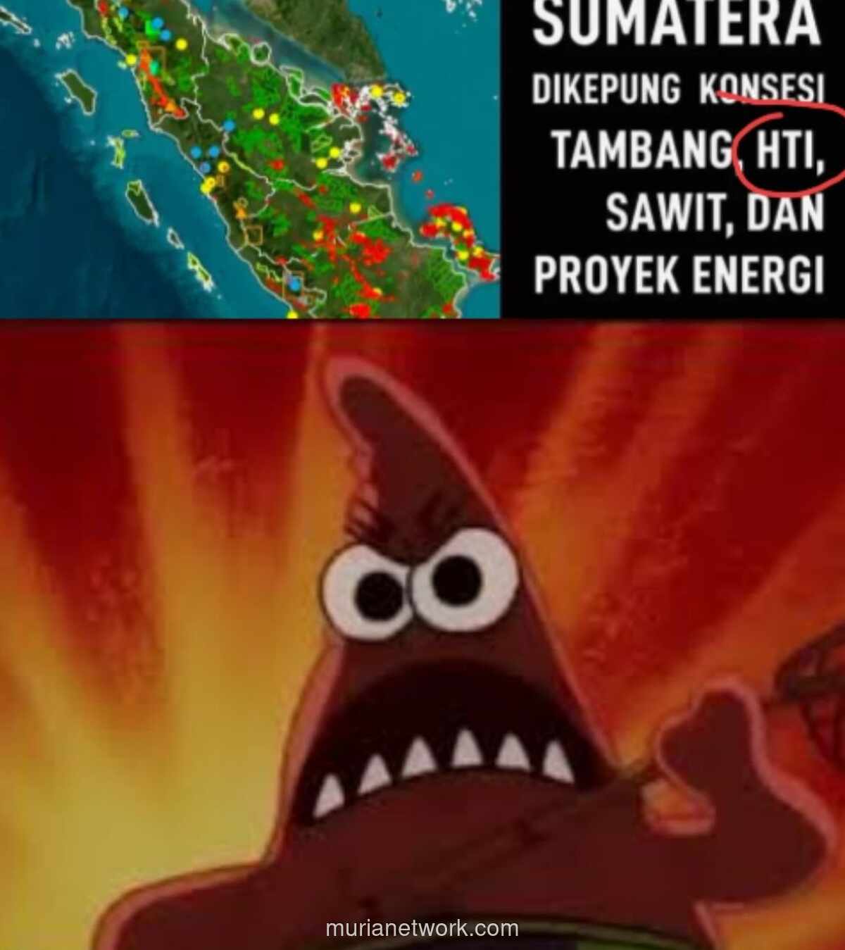 Sumatera Tenggelam: Ketika Konsesi dan Sawit Mengikis Daya Tahan Alam