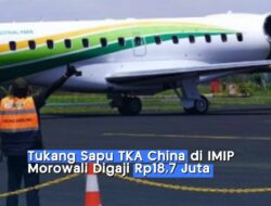 Gaji Tukang Sapu Rp18 Juta di Morowali: Mengapa Diisi Tenaga Asing?