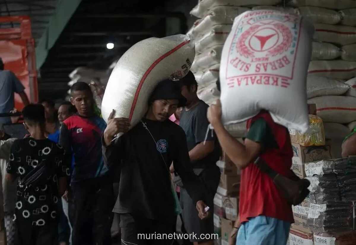 Kebijakan Penghapusan Impor Beras Industri Dikhawatirkan Picu Lonjakan Harga Pangan