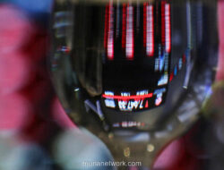 IHSG Hampir Tak Beranjak, LQ45 Justru Merangkak Naik