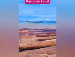 Gelondongan Raksasa Serbu Pantai Lampung Usai Kapal Tongkang Kandas