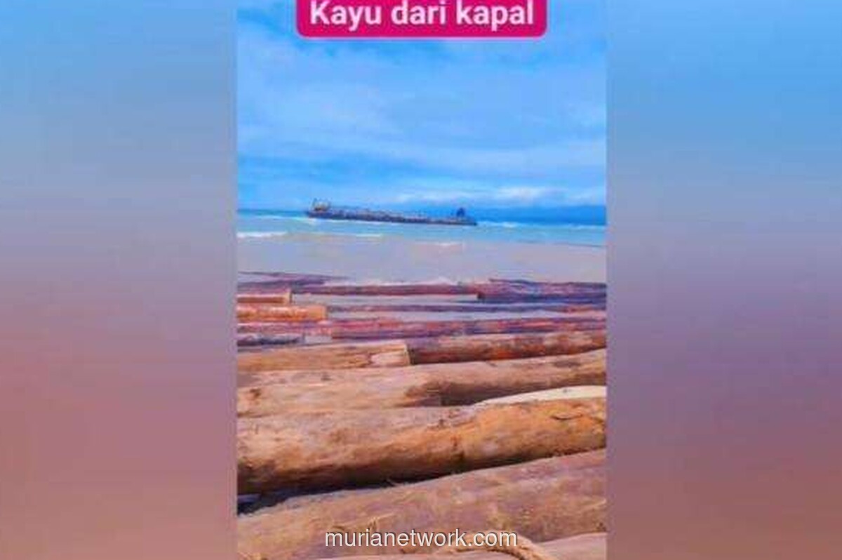 Gelondongan Raksasa Serbu Pantai Lampung Usai Kapal Tongkang Kandas
