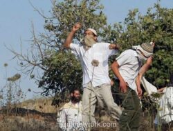 Dari Piagam Madinah ke Nakba: Jejak Panjang Pengkhianatan dan Perjuangan di Tanah Palestina