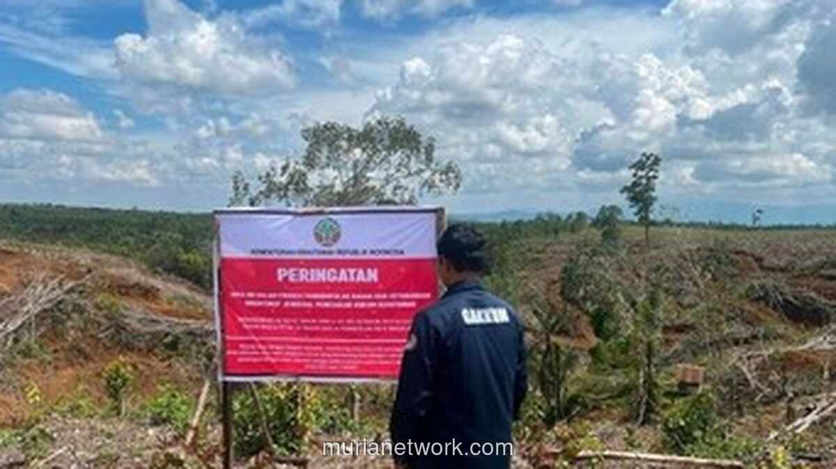 Hutan Sumatera Menyusut, Bencana Hidup di Ujung Tebang