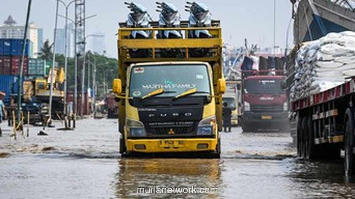 Waspada Rob, 12 Kawasan Pesisir Jakarta Siaga Jelang Natal 2025