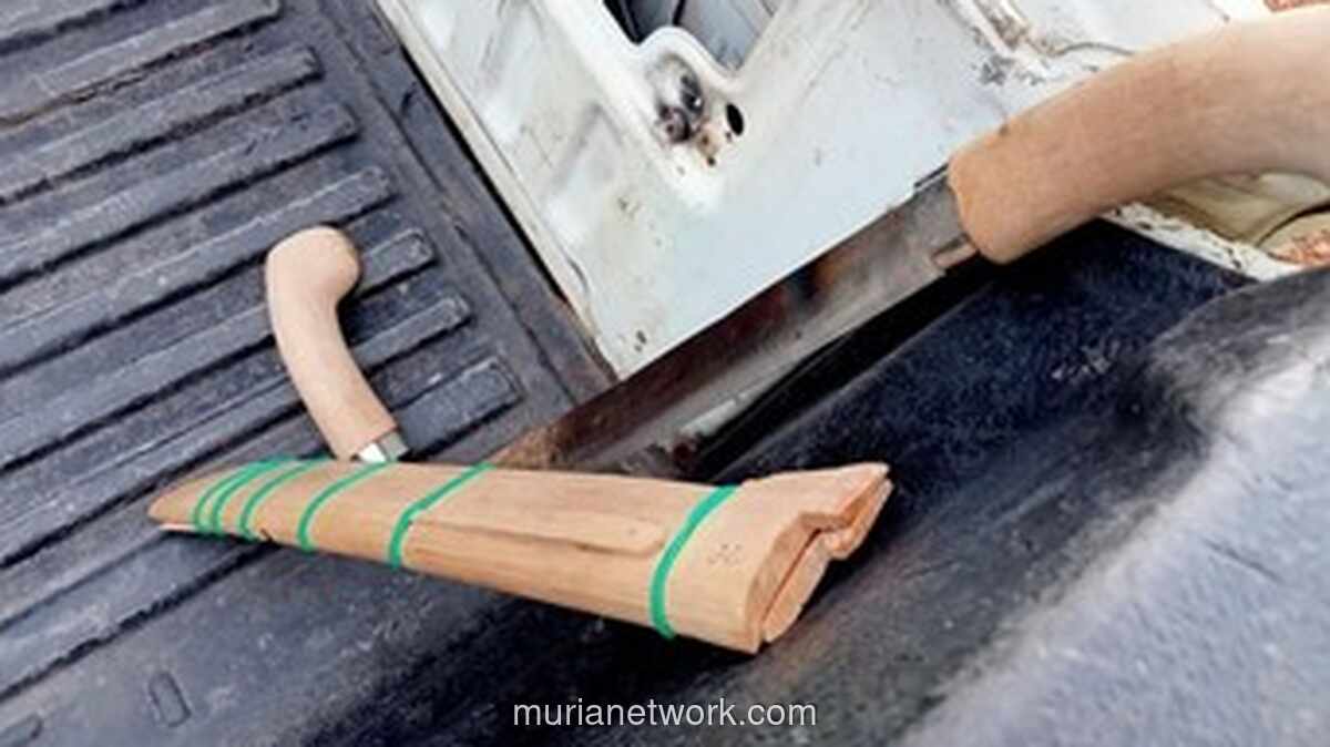 Amukan Parang dan Airsoft Gun WNA China Guncang Tambang Emas Ketapang