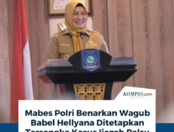 Wagub Babel Hellyana Tersangka, Ijazah Palsu Jadi Buntut Laporan Mahasiswa