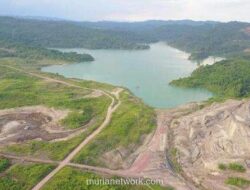 Pemerintah Pasang Tarif Denda Fantastis untuk Tambang Ilegal di Hutan
