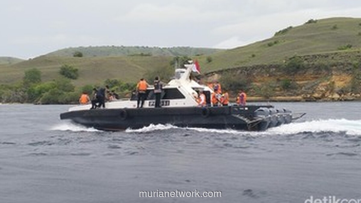 Cuaca Buruk dan Arus Ganas Uji Teknologi Canggih dalam Pencarian Korban Pinisi di Labuan Bajo