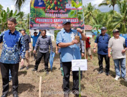 Petani Kakao Pohuwato Sambut Langsung Pembeli dari Jepang